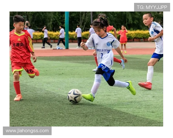 南特俱乐部崛起之路探秘法国足球传统与现代力量的交融