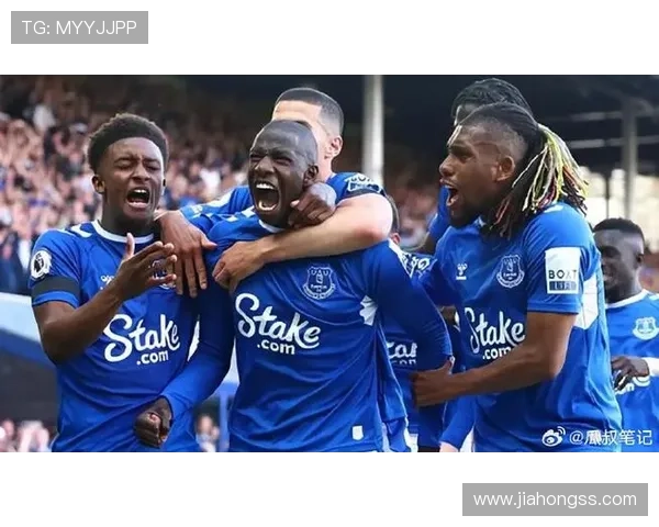 埃弗顿新赛季阵容大调整 球迷期待球队重返英超前列