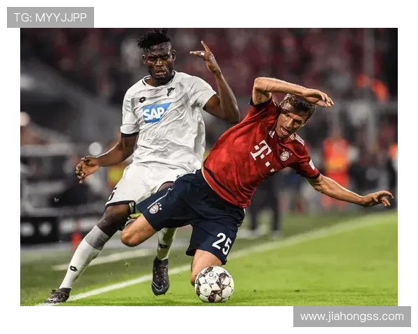 霍芬海姆1899俱乐部百年发展与德甲崛起之路全景解析深度故事